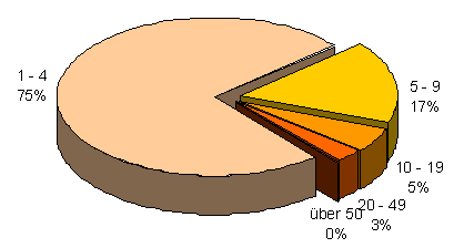 Größenstruktur in österreichischen Architekturbüros 2003